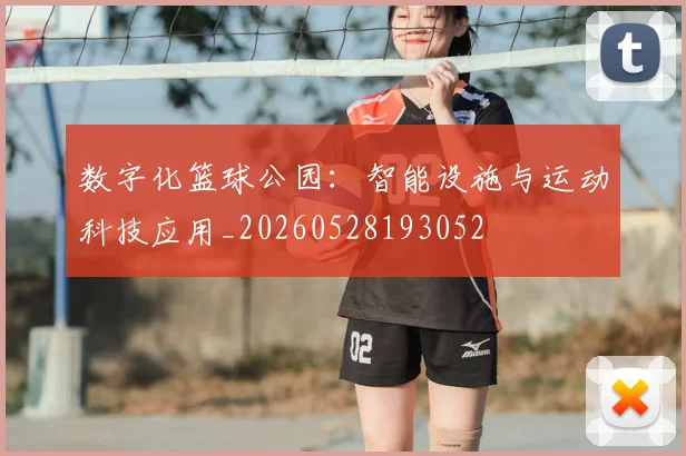 数字化篮球公园:智能设施与运动科技应用_20260528193052
