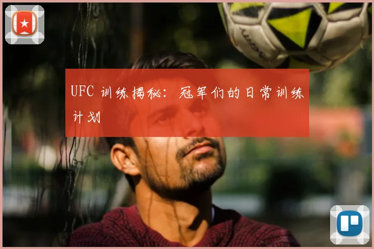 UFC 训练揭秘:冠军们的日常训练计划