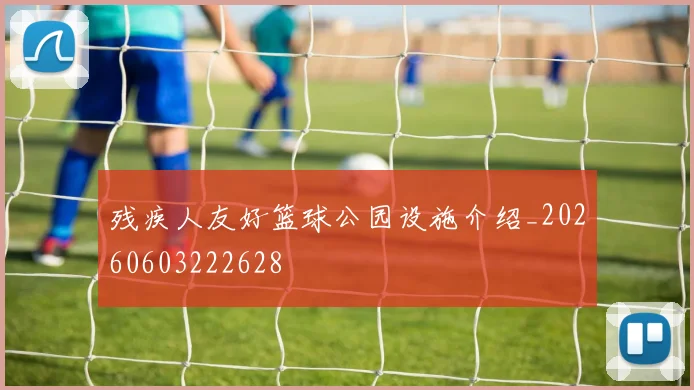 残疾人友好篮球公园设施介绍_20260603222628