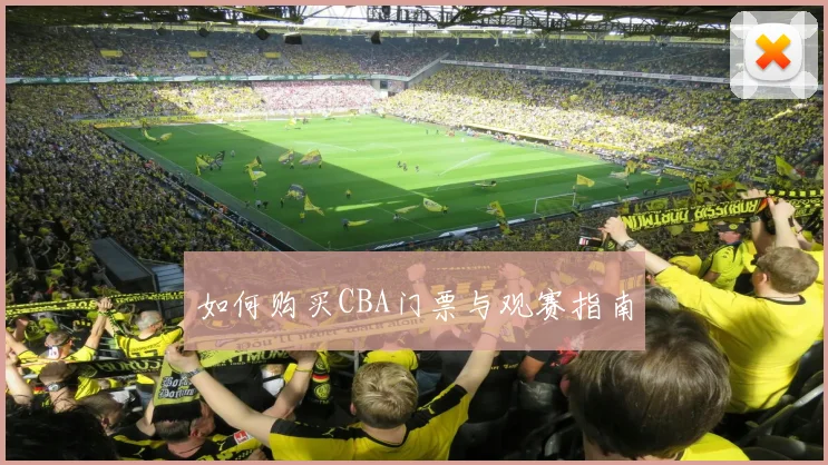 如何购买CBA门票与观赛指南