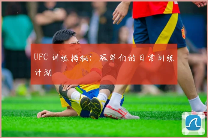 UFC 训练揭秘:冠军们的日常训练计划