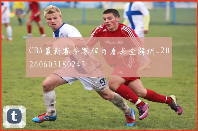 CBA最新赛季赛程与看点全解析_20260603180243