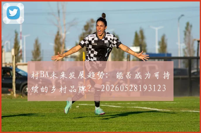 村BA未来发展趋势:能否成为可持续的乡村品牌?_20260528193123