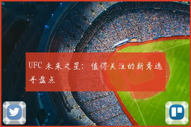 UFC 未来之星:值得关注的新秀选手盘点