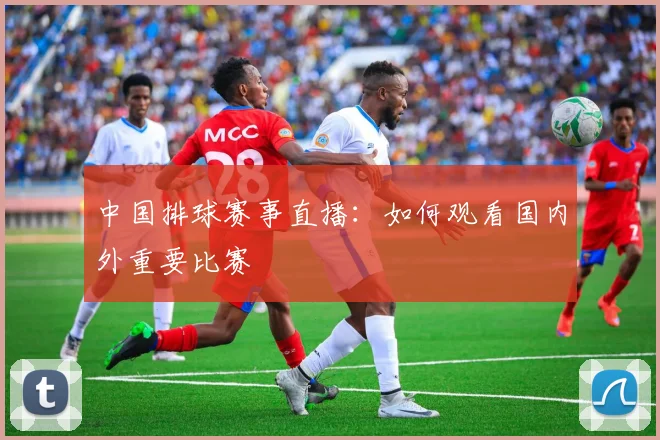 中国排球赛事直播:如何观看国内外重要比赛