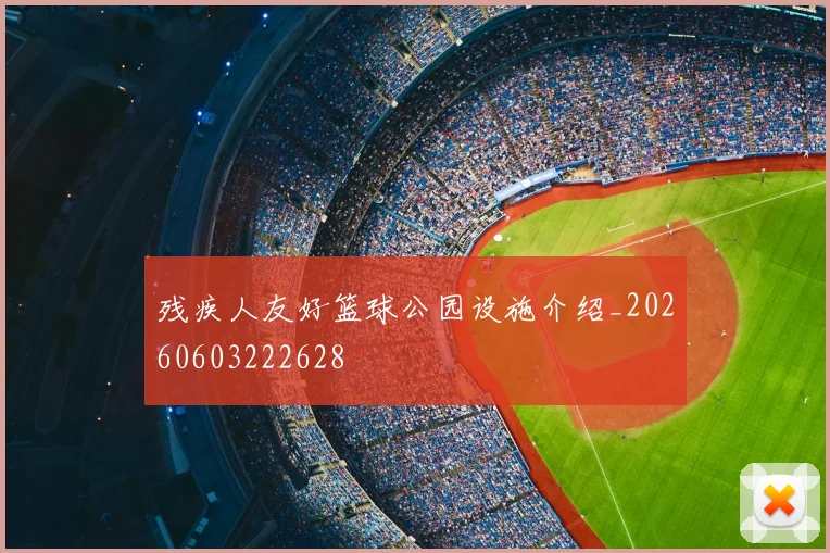 残疾人友好篮球公园设施介绍_20260603222628