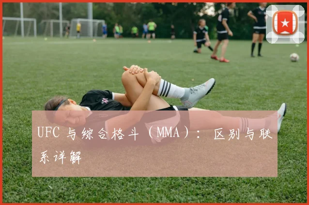 UFC 与综合格斗(MMA):区别与联系详解