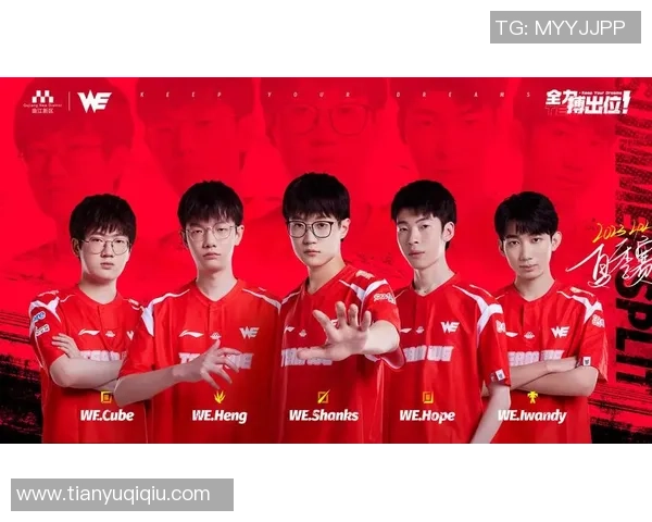 英雄联盟团队协作能力评比WE战队荣获第五名殊荣